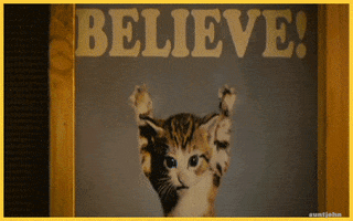 cat poster - believe - Smart Passive Income Success - Smart Passive Income Success