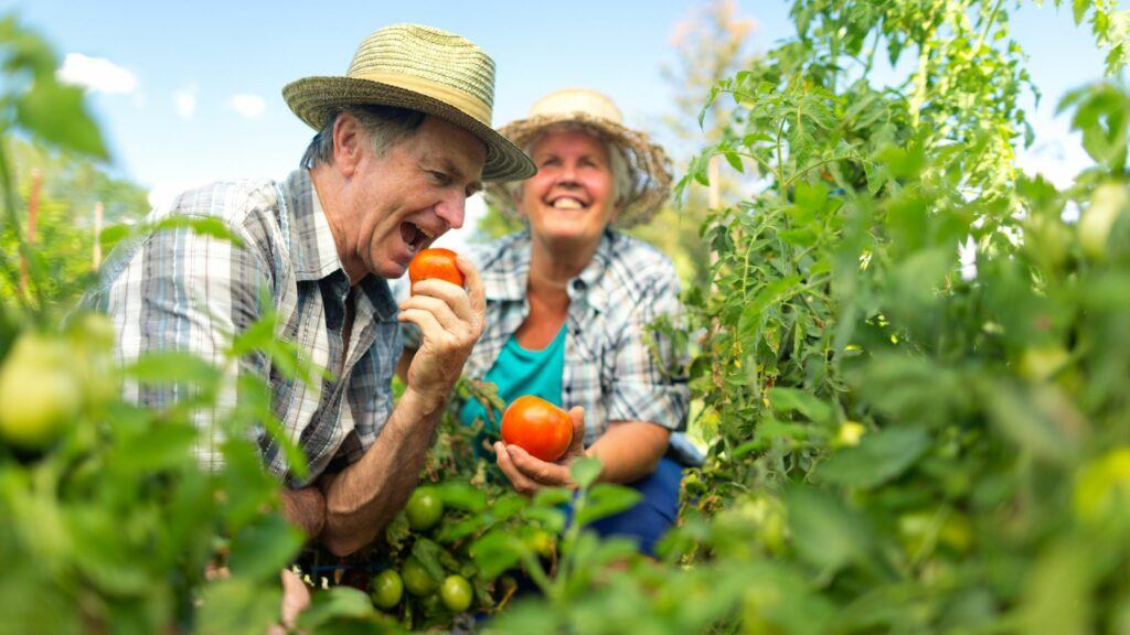 Best Passive Income Ideas For Retirees - Gardening Niche