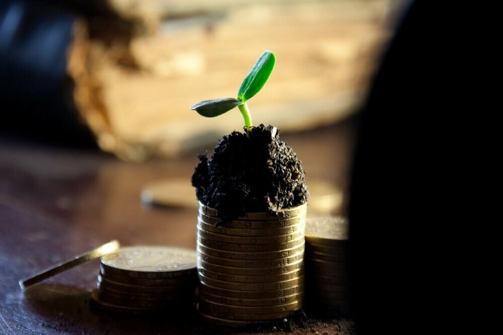 coins-sprouting-interest