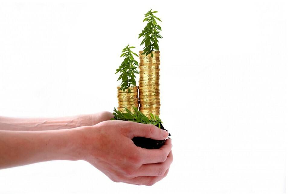 passive-income-money-tree