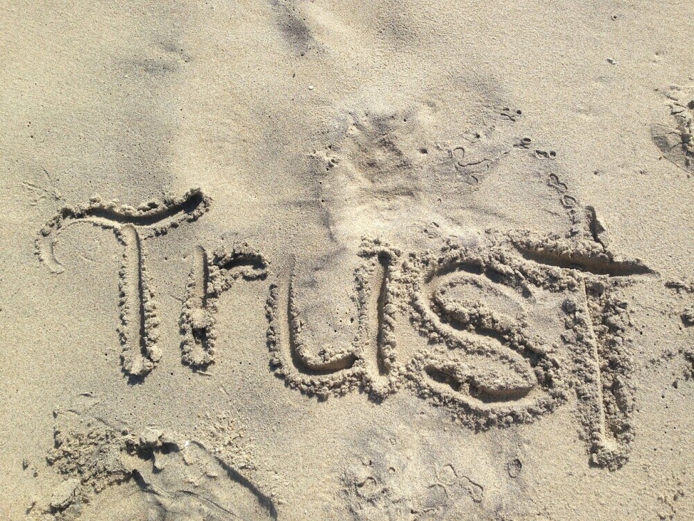 trust-and-authority