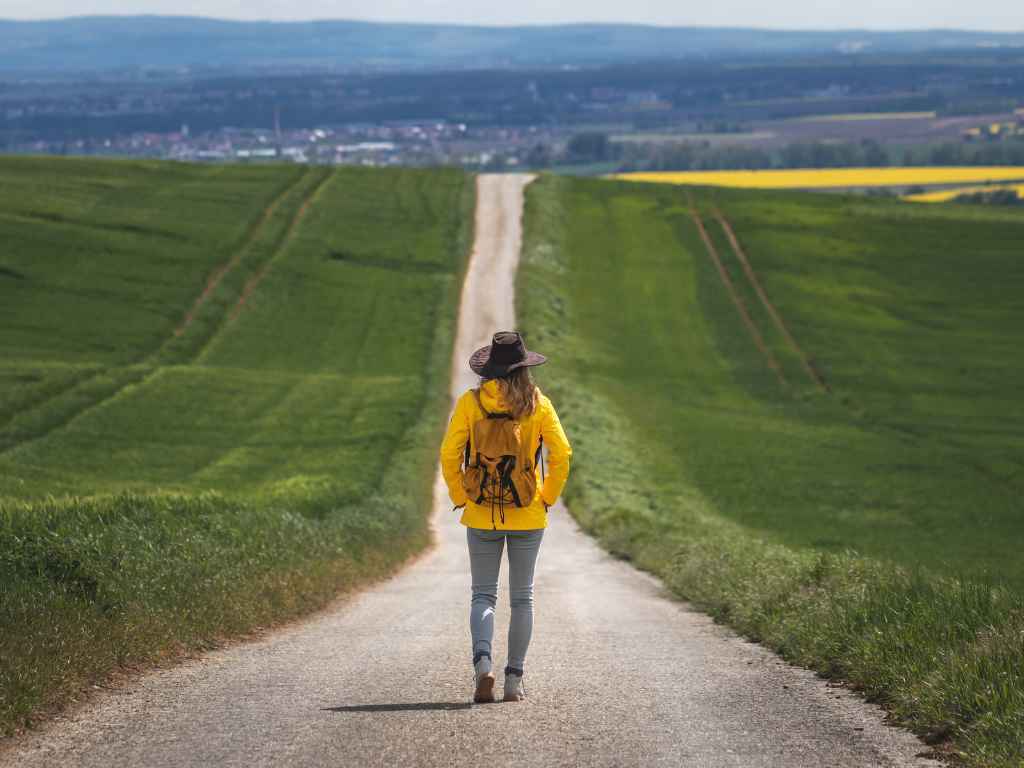 Optimizing-For-Search-Engines-continuous-journey