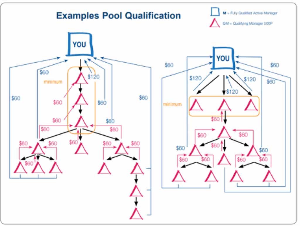 pm-international-mlm-compensation-plan