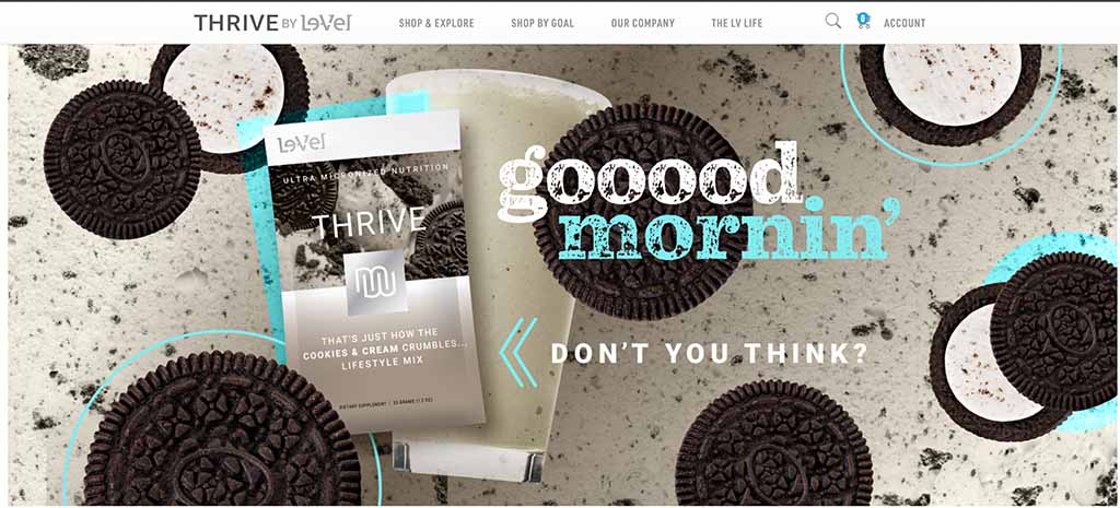 le-vel-mlm-website